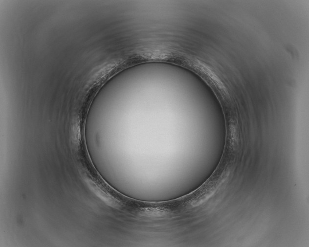 X0000111590541200907231216