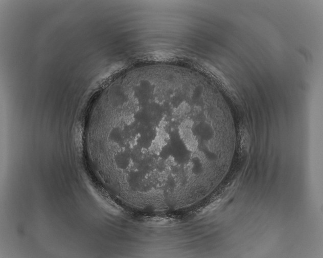 X0000111590542200907231216