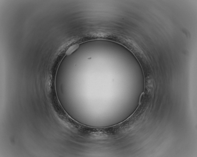 X0000111590544200907231216