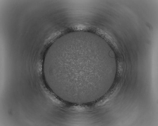 X0000111590545200907231216