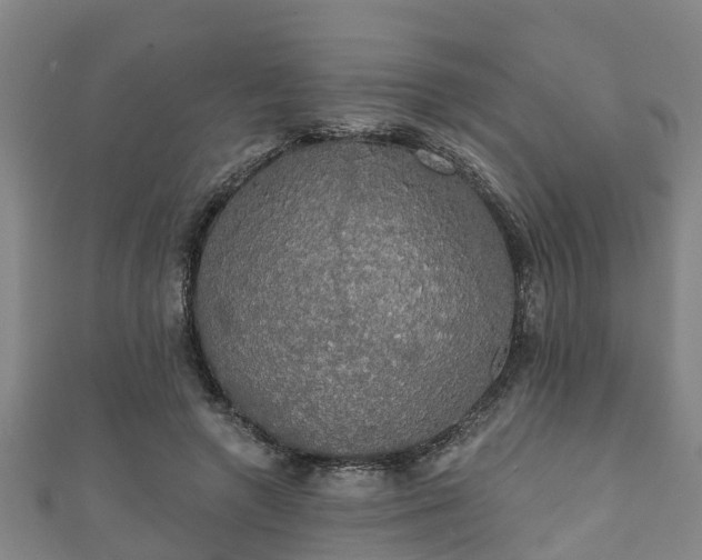 X0000111590546200907231216