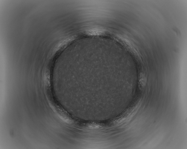 X0000111590547200907231216