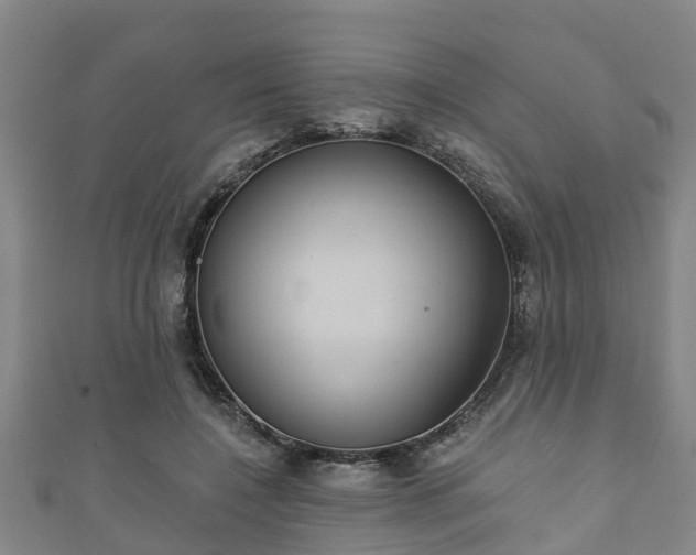 X0000111590548200907231216