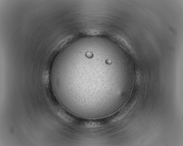 X0000111590549200907231216