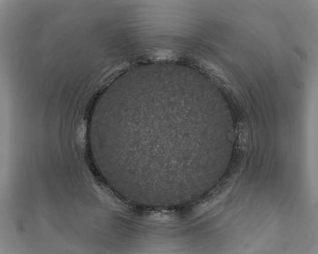 X0000111590550200907231216