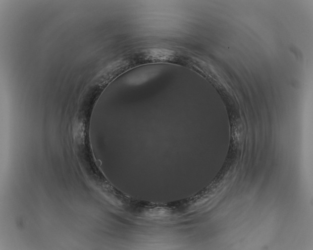 X0000111590551200907231216