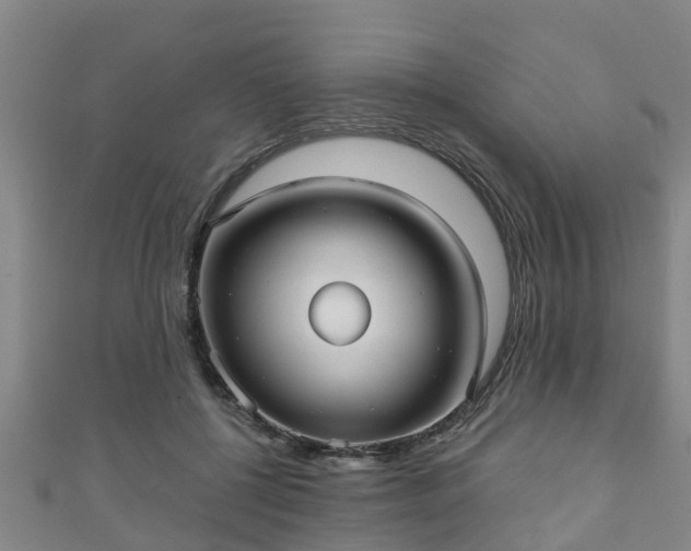 X0000111590552200907231217