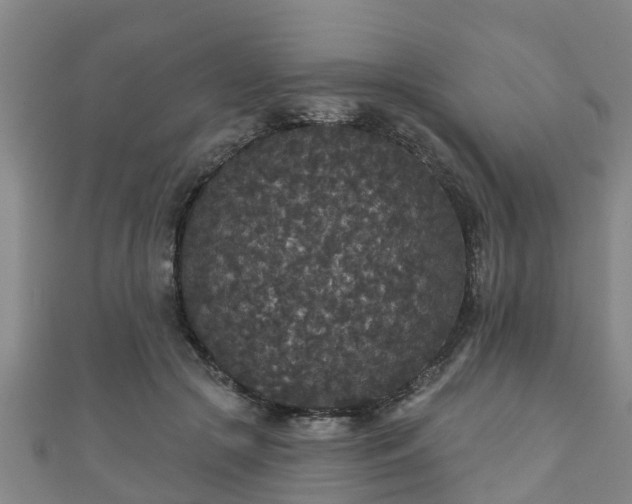 X0000111590553200907231217