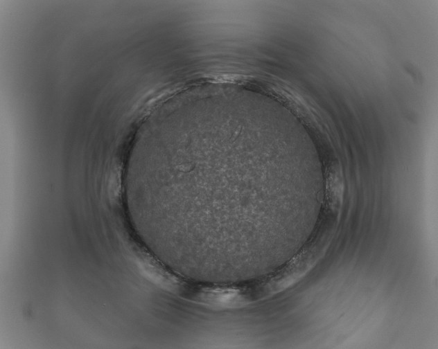 X0000111590554200907231217