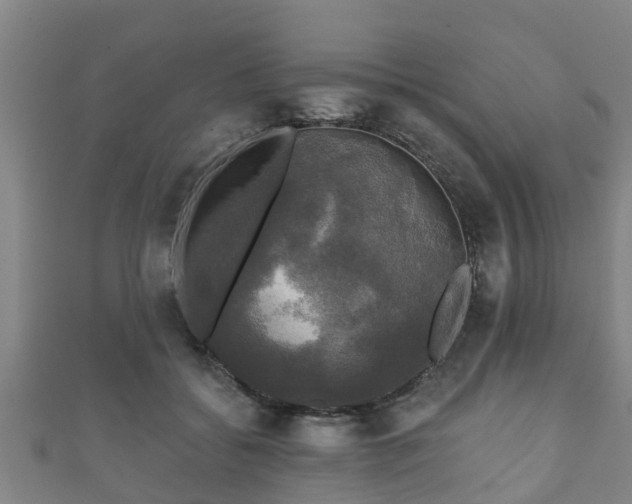 X0000111590556200907231217