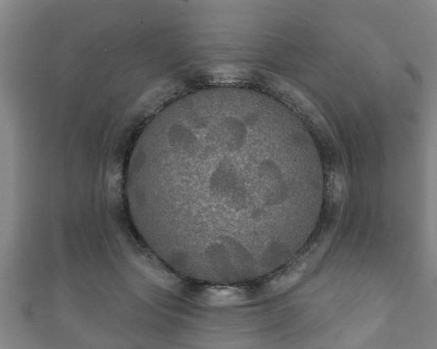 X0000111590557200907231217