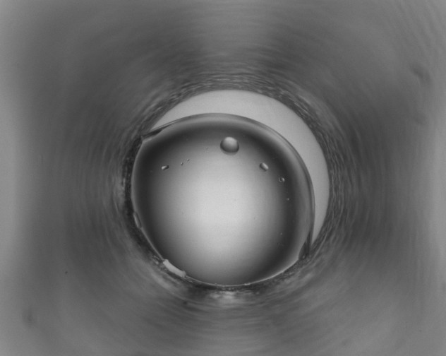 X0000111590558200907231217