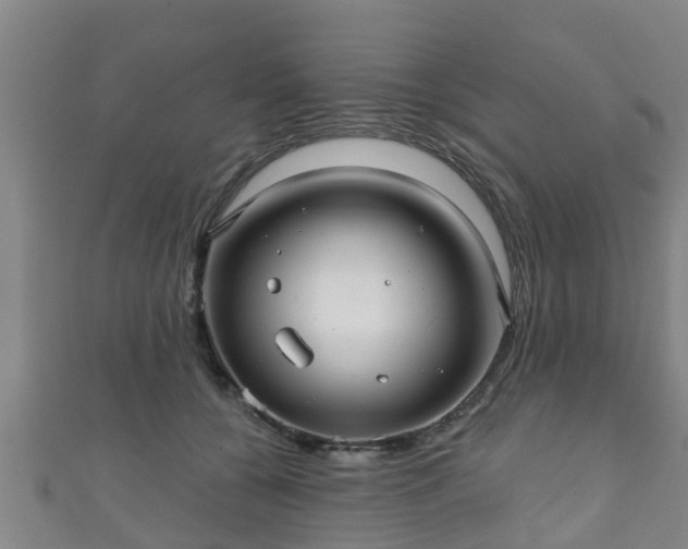 X0000111590560200907231217