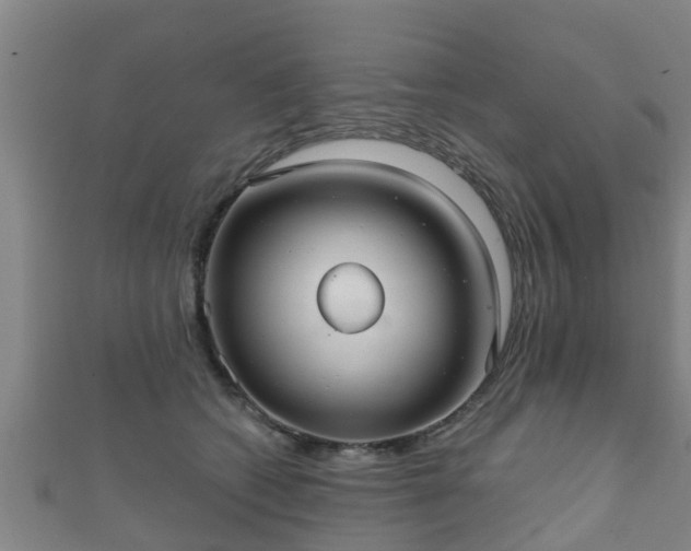 X0000111590562200907231217