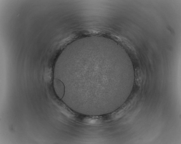 X0000111590563200907231217