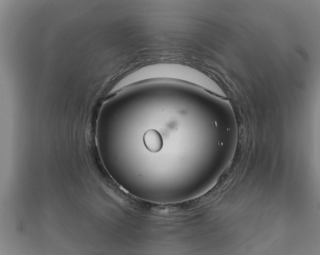 X0000111590564200907231217