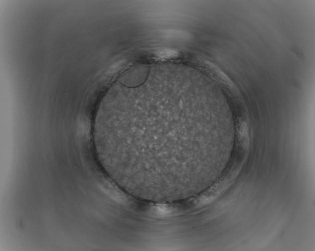 X0000111590565200907231217