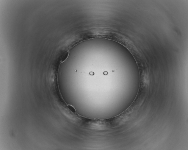 X0000111590567200907231217