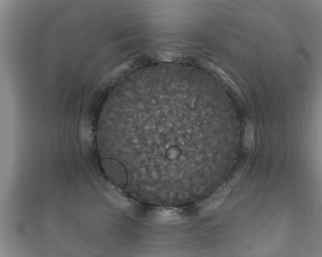 X0000111590569200907231217