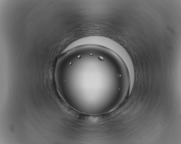 X0000111590570200907231217