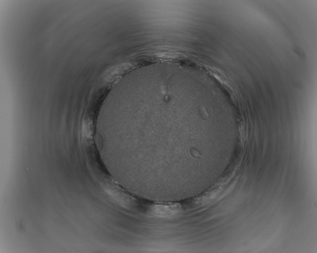 X0000111590571200907231217