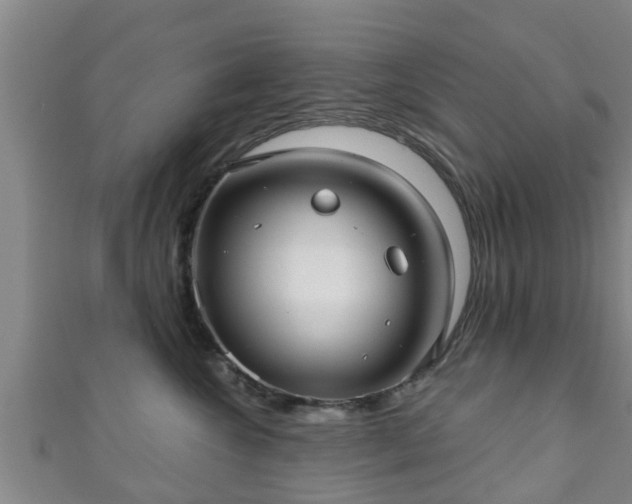 X0000111590572200907231217