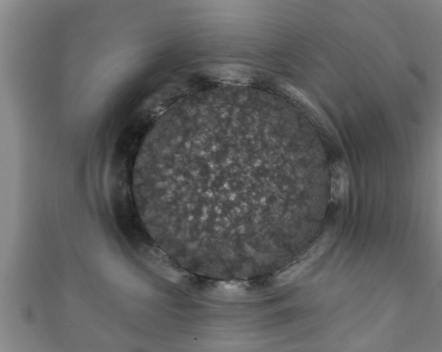 X0000111590573200907231217