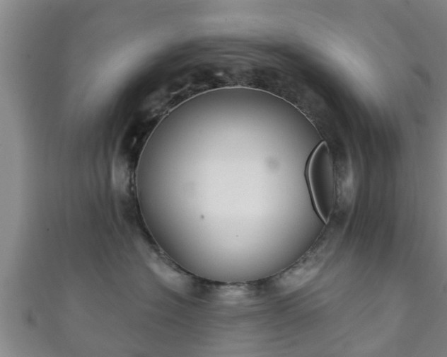 X0000111590574200907231217