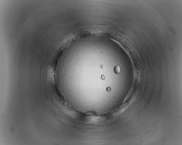 X0000111590575200907231217