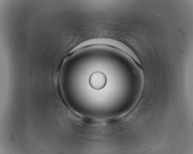 X0000111590576200907231217