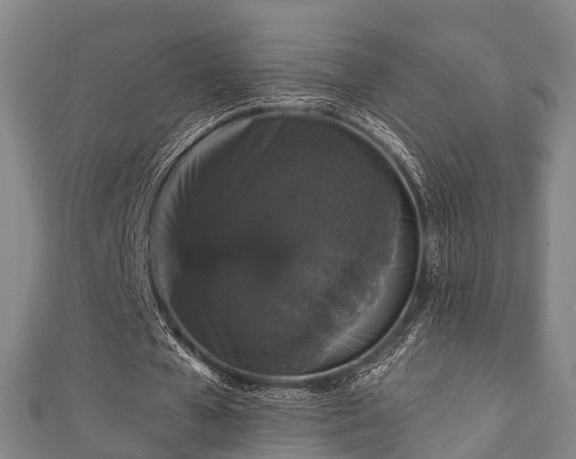 X0000111590577200907231216