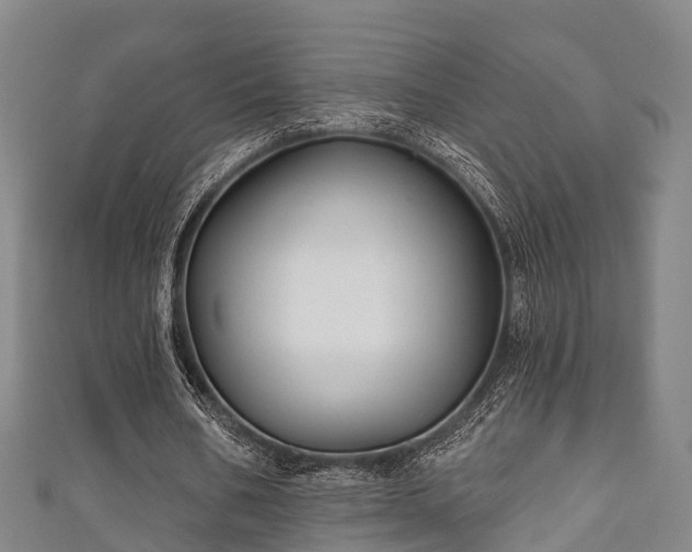 X0000111590578200907231216