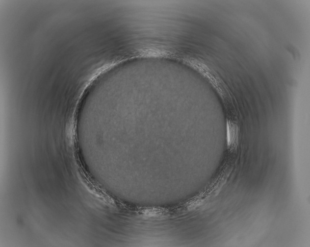 X0000111590579200907231216