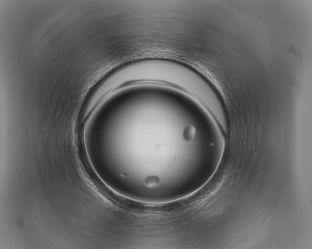 X0000111590581200907231216