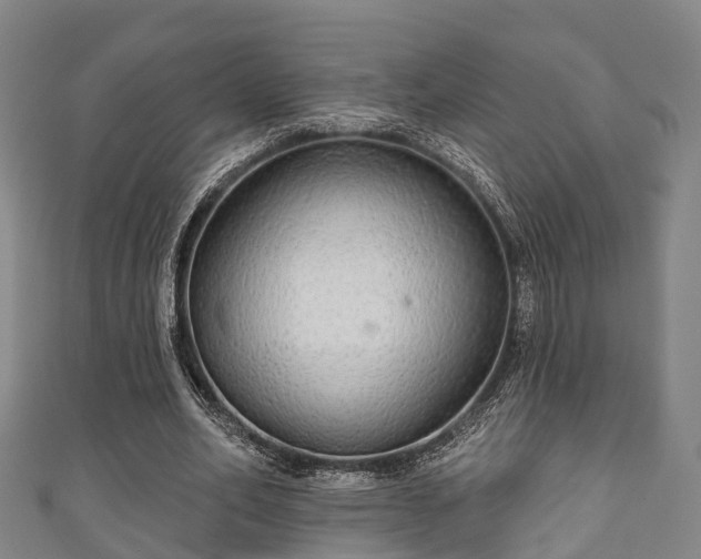 X0000111590582200907231216