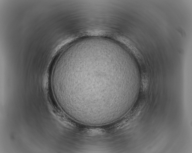 X0000111590583200907231216