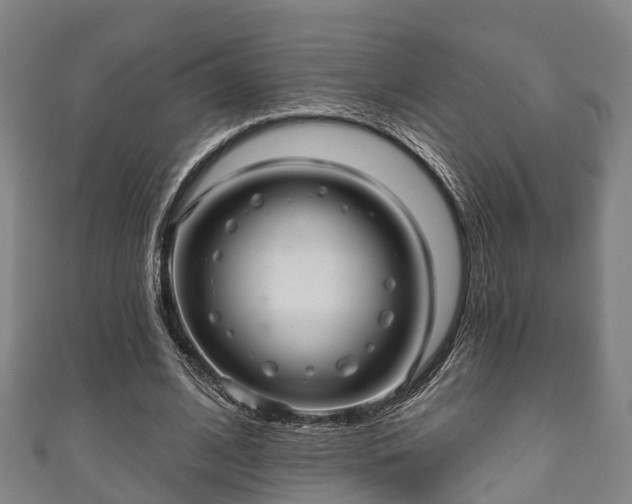 X0000111590584200907231216