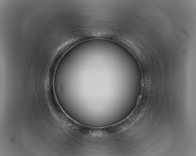 X0000111590587200907231216