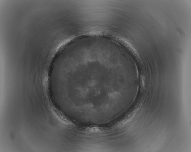 X0000111590588200907231216