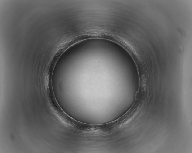 X0000111590589200907231216