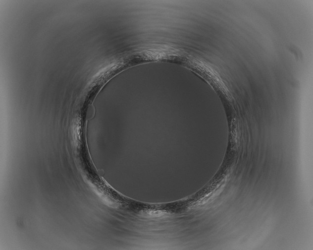 X0000111590590200907231216