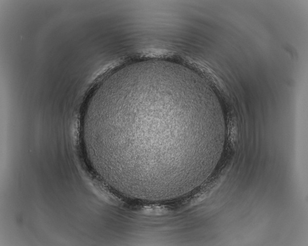 X0000111590591200907231216