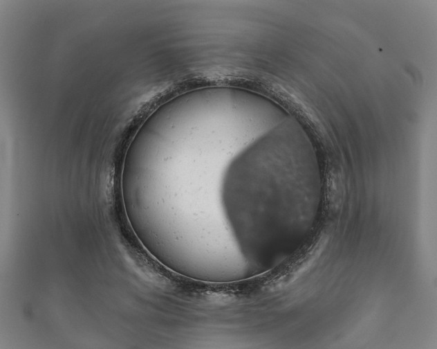 X0000111590592200907231216