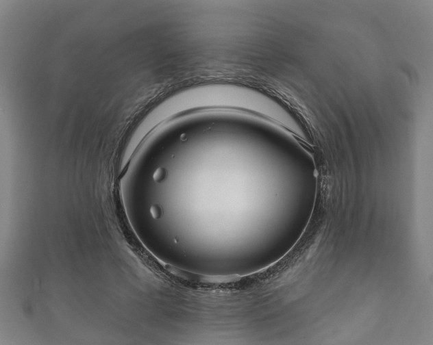 X0000111590593200907231216