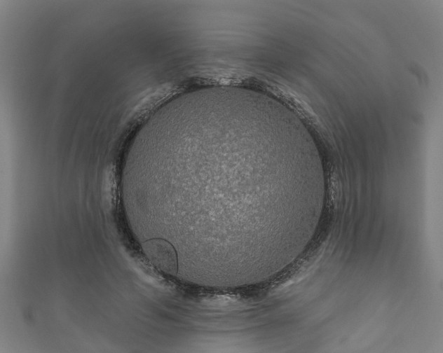 X0000111590594200907231216