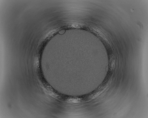 X0000111590595200907231216