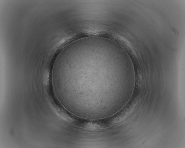 X0000111590596200907231216