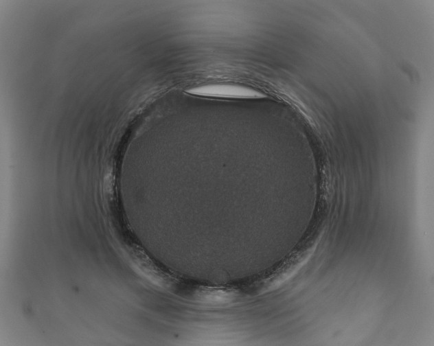 X0000111590597200907231216