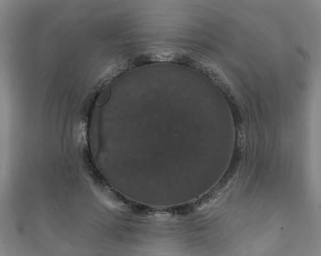 X0000111590598200907231216