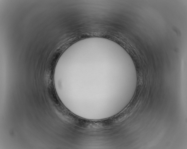 X0000111590599200907231216